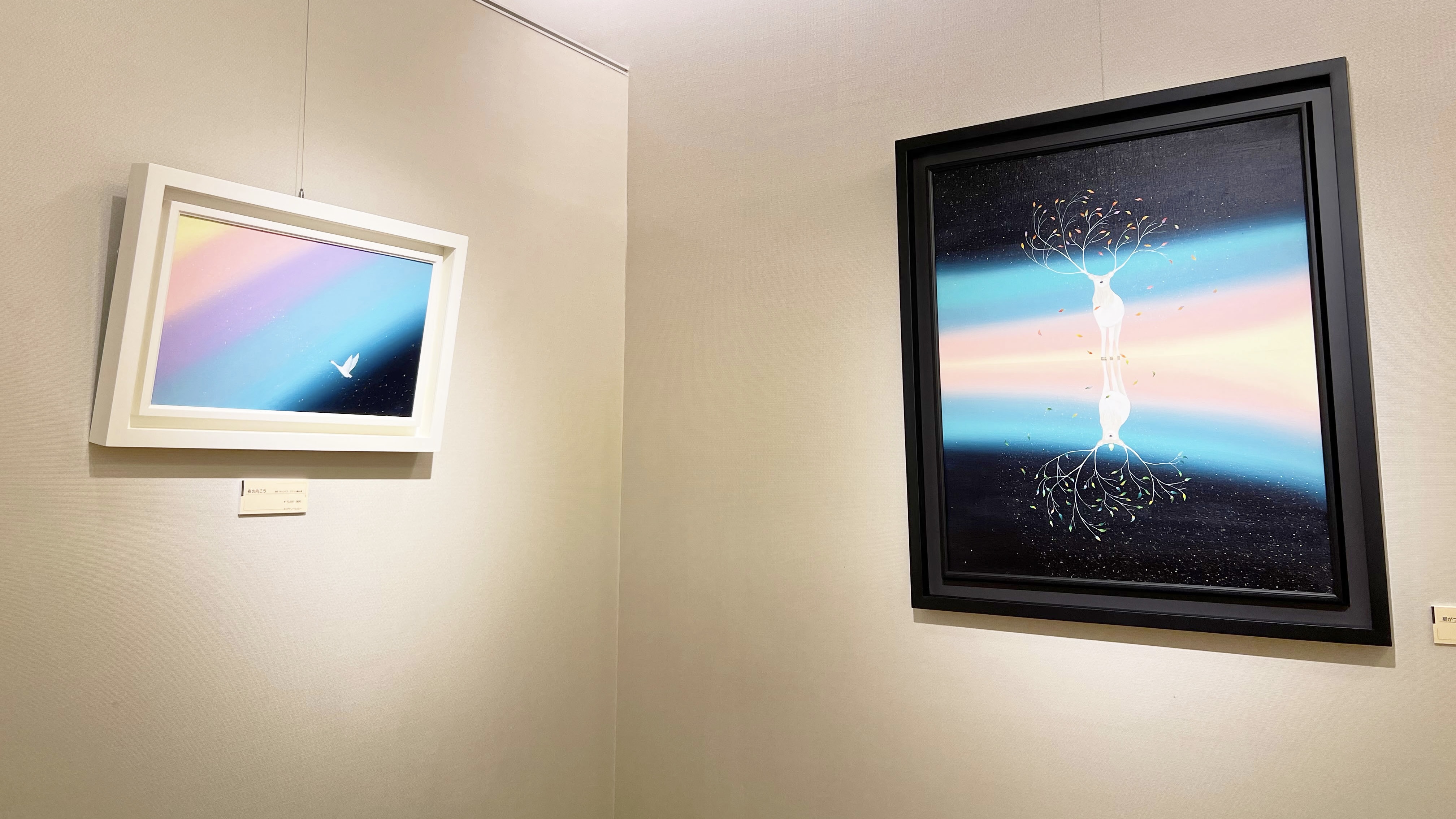 Exhibition Picture 6